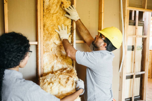 Best Cellulose Insulation  in Panthersville, GA