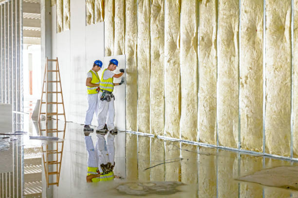Best Best Insulation Companies  in Panthersville, GA